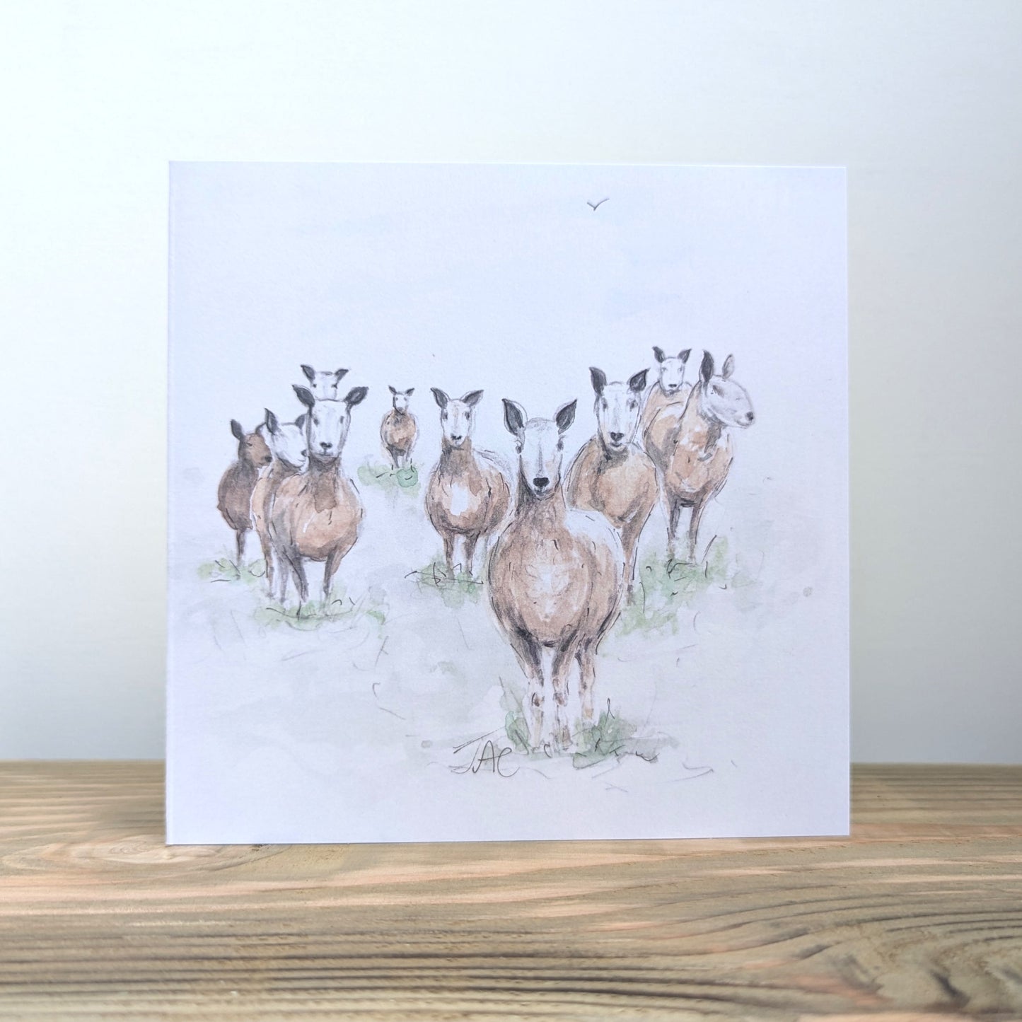 Sheep Card