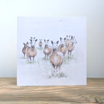 Sheep Card