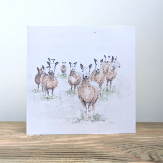 Sheep Card